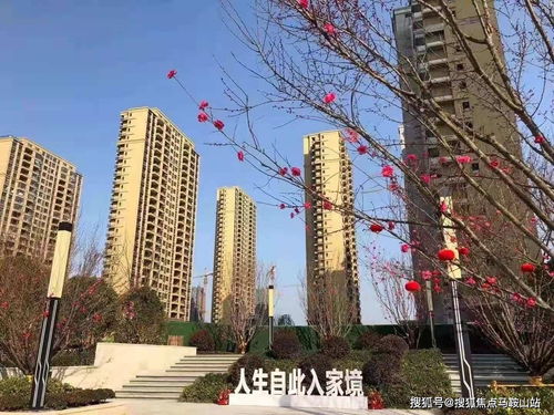 鎮江新盤速遞 一站式獲取樓盤動態、地址戶型與教育資源解析